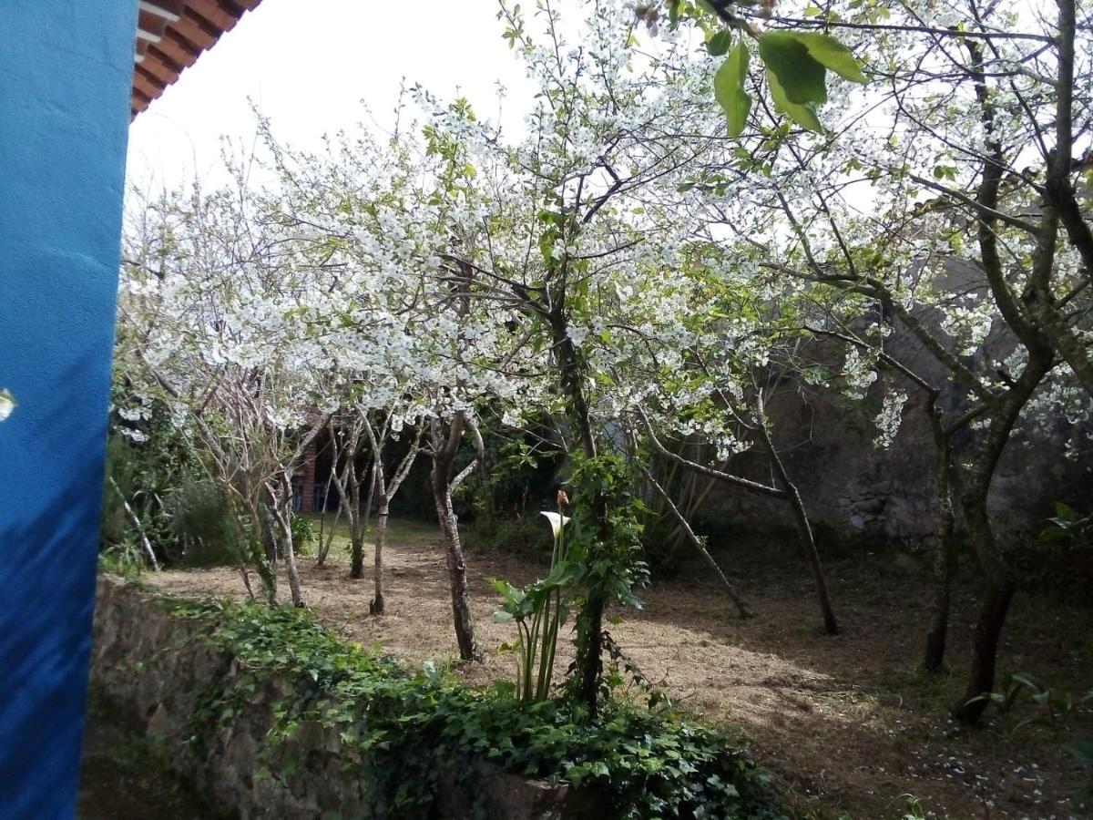 فيلا Casas Altas Obidos - Al Sobral  المظهر الخارجي الصورة